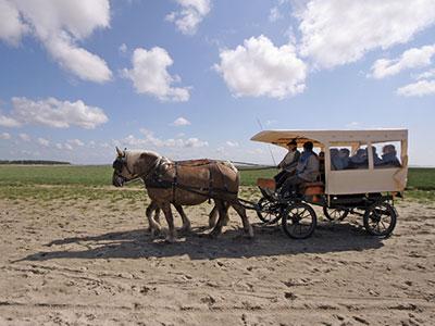 caleche, Baie de Somme caleche, Baie de Somme