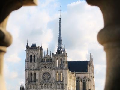 cathedralecmaxime_zissel-les_zed.jpg cathedralecmaxime_zissel-les_zed.jpg