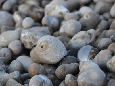 Cayeux galets, Somme Cayeux galets, Somme