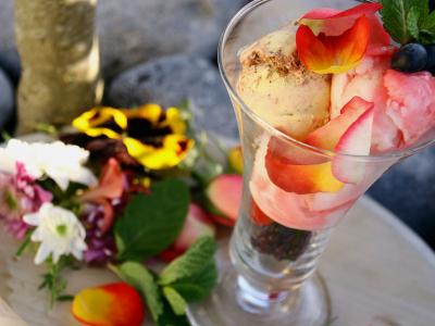 Gastronomie glace aux fleurs, Somme Gastronomie glace aux fleurs, Somme