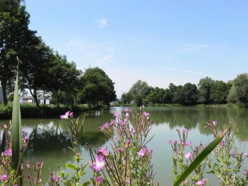 etangs-blangy.jpg etangs-blangy.jpg