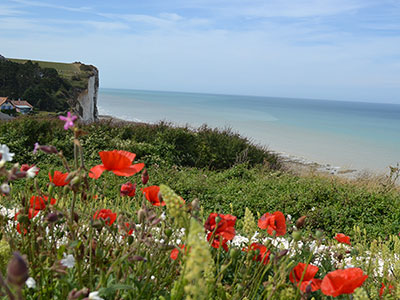 Ault bois de cise, randonnée sentier du littoral, Somme Ault bois de cise, randonnée sentier du littoral, Somme