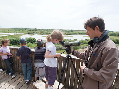 Visite scolaire Parc du Marquenterre, Baie de Somme Visite scolaire Parc du Marquenterre, Baie de Somme