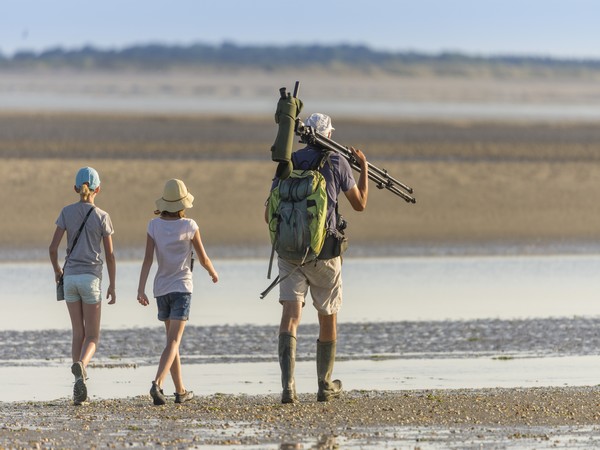 Sortie nature, Baie de Somme Sortie nature, Baie de Somme
