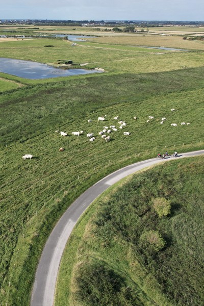 Vélos au Hâble d'Ault sur La Vélomaritime Vélos au Hâble d'Ault sur La Vélomaritime