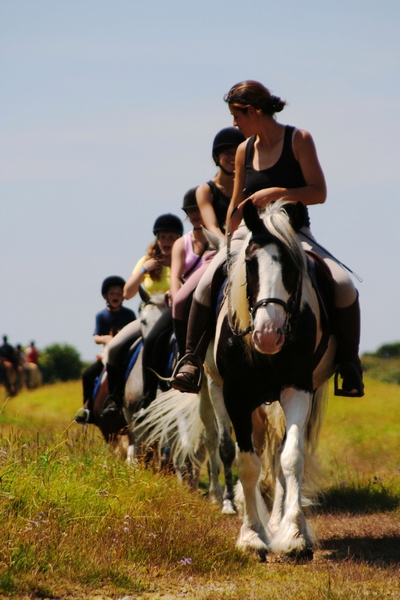 Chevaux en balade Chevaux en balade