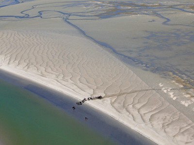 Chevaux sur la plage, Baie de Somme Chevaux sur la plage, Baie de Somme