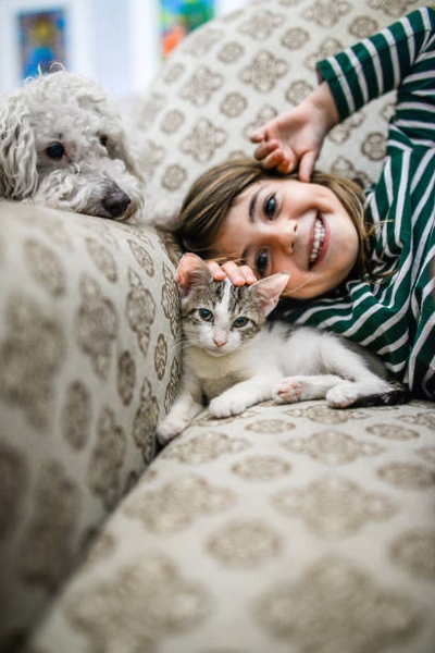 Chien, chat et petite fille Chien, chat et petite fille