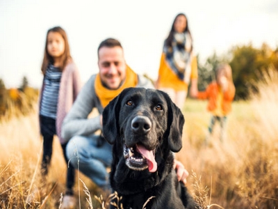 Chien et famille Chien et famille