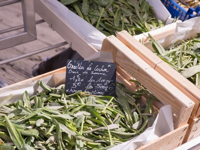 Herbes de la Baie de Somme Herbes de la Baie de Somme