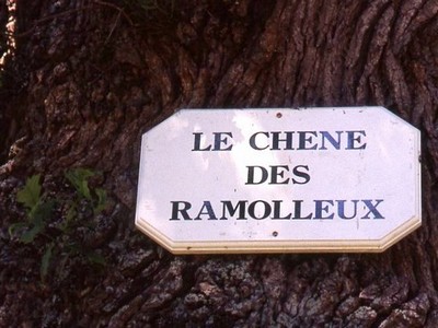Forêt de Crécy Forêt de Crécy
