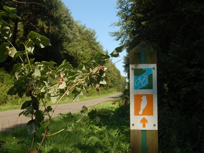 Forêt de Crécy Forêt de Crécy