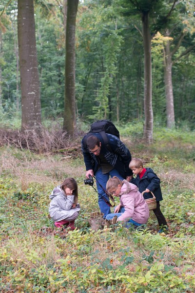 Forêt de Crécy Forêt de Crécy