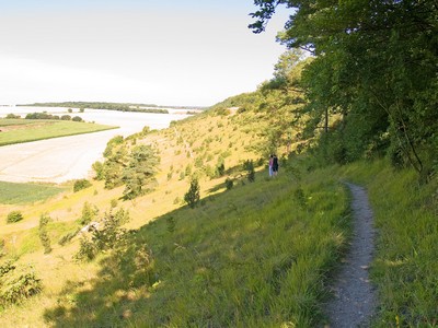 Larris de Fignières, Somme Larris de Fignières, Somme