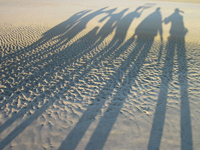 guide baie de Somme guide baie de Somme