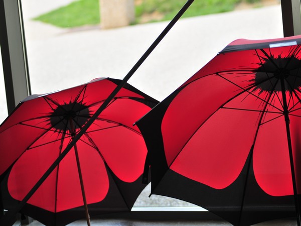 Parapluies poppy coquelicots, Somme Parapluies poppy coquelicots, Somme