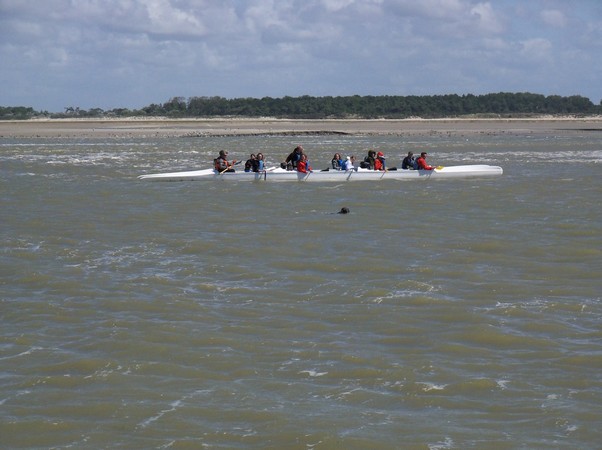 Pirogue Baie des phoques, Somme Pirogue Baie des phoques, Somme