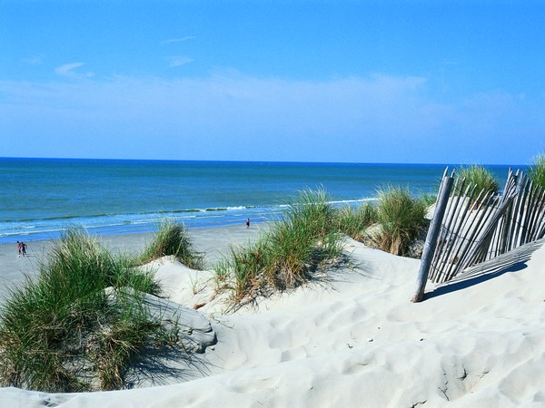 Quend-Plage dunes, Somme Quend-Plage dunes, Somme