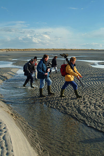 randonnée en Baie de Somme randonnée en Baie de Somme