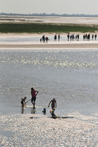 randonnée en Baie de Somme randonnée en Baie de Somme