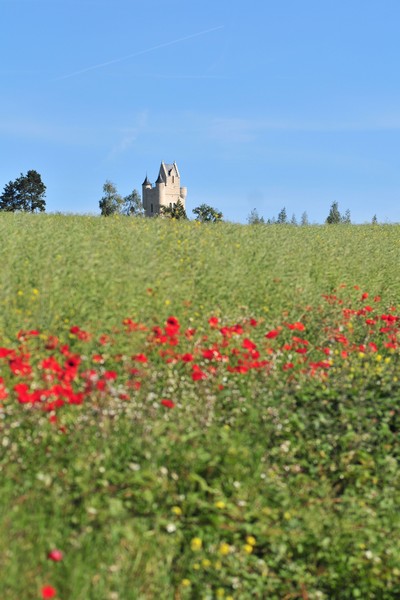 Tour d'Ulster, Somme Tour d'Ulster, Somme