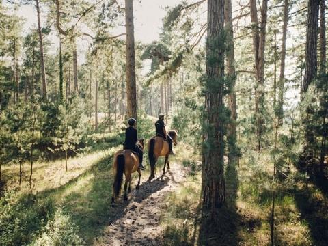 Balade à cheval dans le Marquenterre, Baie de Somme