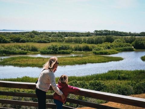 Le Parc du Marquenterre avec Nos coeurs voyageurs 