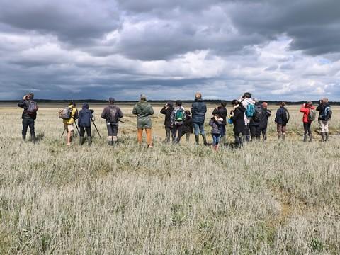 parc_naturel_baie_de_somme_no_mad_land.jpg