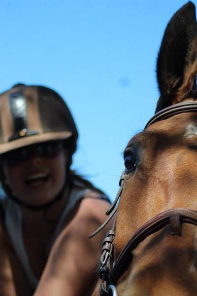 Cheval et sa cavalière