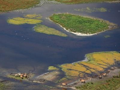 Marais-chevaux henson, Somme Marais-chevaux henson, Somme