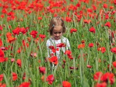 Fille dans un champs de Coquelicots, Somme