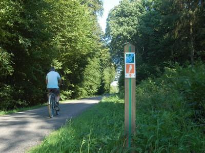 Forêt de Crécy 