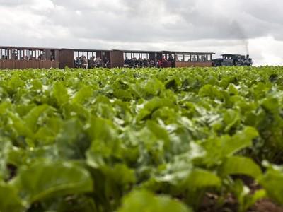 Petit Train de la Haute-Somme 