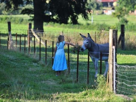 Vallée de la Trie, Somme