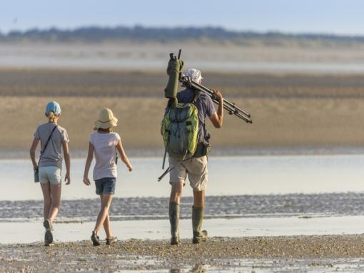Sortie nature, Baie de Somme 