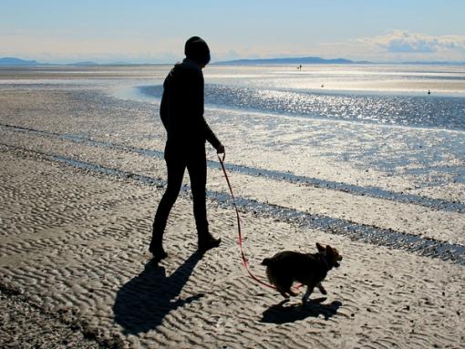Se balader avec son chien sur la plage 