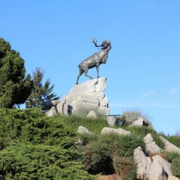 beaumonthamel-samuelcrampon5.jpg