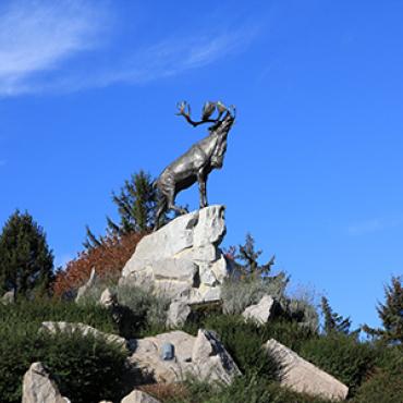 csamuelcrampon_33.jpg