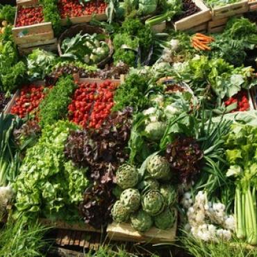 Légumes des Hortillonnnages ©Com des Images