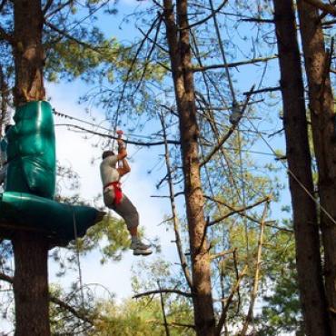 Quend arbre et aventure