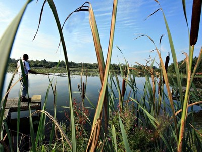 Corbie étangs de la barette pêche, Somme Corbie étangs de la barette pêche, Somme