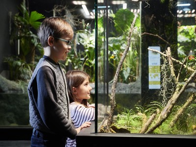 Zoo Amiens Métropole 