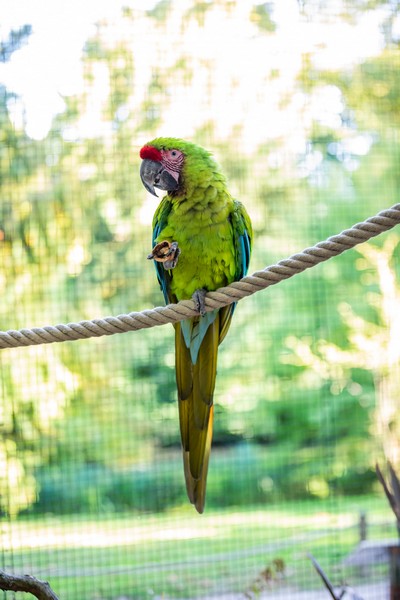 Zoo Amiens Métropole 